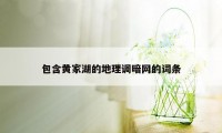 包含黄家湖的地理调暗网的词条