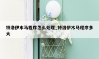 特洛伊木马程序怎么处理_特洛伊木马程序多大
