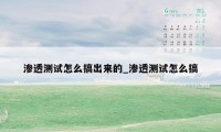 渗透测试怎么搞出来的_渗透测试怎么搞