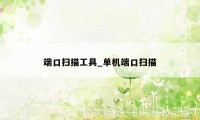 端口扫描工具_单机端口扫描