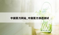 中国菜刀网站_中国菜刀渗透测试