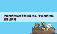 中国两大电脑黑客组织是什么_中国两大电脑黑客组织是