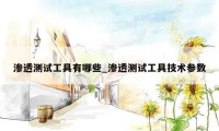 渗透测试工具有哪些_渗透测试工具技术参数