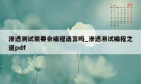 渗透测试需要会编程语言吗_渗透测试编程之道pdf