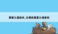 黑客入侵技术_计算机黑客入侵素材