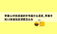 苹果12手机背面的字母是什么意思_苹果手机12背面信息泄露怎么办