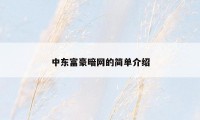 中东富豪暗网的简单介绍