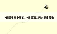 中国最牛两个黑客_中国最顶尖两大黑客是谁