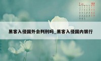 黑客入侵国外会判刑吗_黑客入侵国内银行