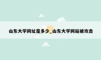 山东大学网址是多少_山东大学网站被攻击