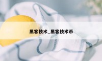 黑客技术_黑客技术币