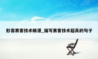 形容黑客技术精湛_描写黑客技术超高的句子