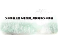 少年黑客是什么电视剧_美国电影少年黑客