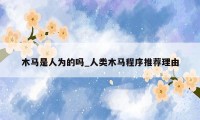 木马是人为的吗_人类木马程序推荐理由
