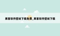 黑客软件壁纸下载免费_黑客软件壁纸下载