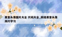 黑客头像图片大全 代码大全_网络黑客头像简约学习