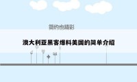 澳大利亚黑客爆料美国的简单介绍