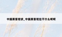 中国黑客现状_中国黑客现在干什么呢呢