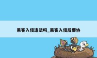 黑客入侵违法吗_黑客入侵后要协