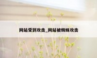网站受到攻击_网站被蜘蛛攻击