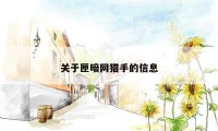 关于匣暗网猎手的信息