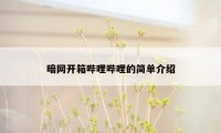 暗网开箱哔哩哔哩的简单介绍
