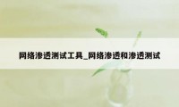 网络渗透测试工具_网络渗透和渗透测试