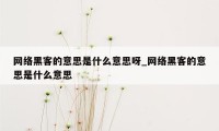 网络黑客的意思是什么意思呀_网络黑客的意思是什么意思