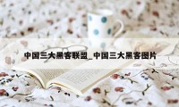 中国三大黑客联盟_中国三大黑客图片