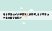 想学黑客技术去哪里学比较好呢_想学黑客技术去哪里学比较好