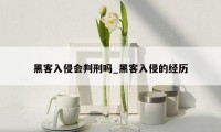 黑客入侵会判刑吗_黑客入侵的经历
