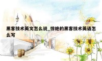 黑客技术英文怎么说_惊艳的黑客技术英语怎么写
