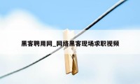 黑客聘用网_网络黑客现场求职视频