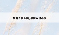黑客入侵人脑_黑客入侵小伙