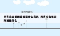 黑客攻击美国政策是什么意思_黑客攻击美国政策是什么