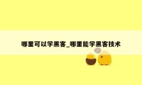 哪里可以学黑客_哪里能学黑客技术