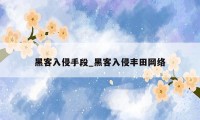 黑客入侵手段_黑客入侵丰田网络