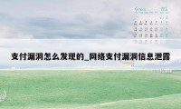 支付漏洞怎么发现的_网络支付漏洞信息泄露