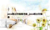 java端口扫描器功能_java端口扫描器